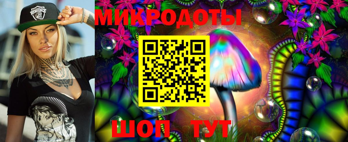 Галлюциногенные грибы Cubensis Коломна
