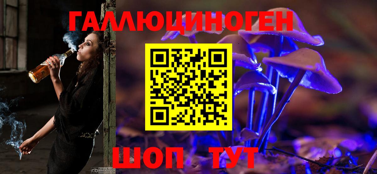 МЕФ Коломна